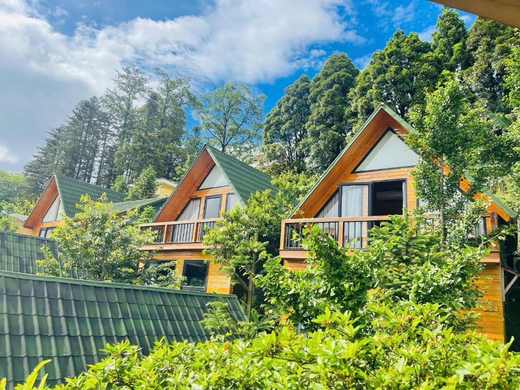 Sapa Pine Hill Eco Lodge – Sa Pa