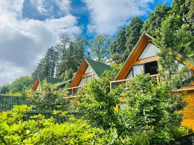 Standard Double or Twin Room — Sapa Pine Hill Eco Lodge