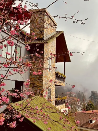 One-Bedroom Villa — Sapa Pine Hill Eco Lodge