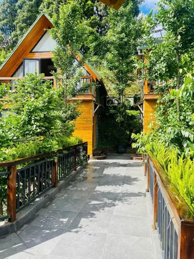 Sapa Pine Hill Eco Lodge – Photos 16